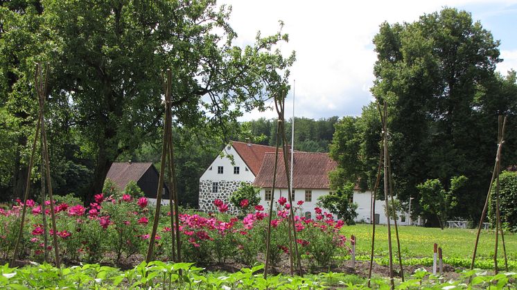 Hovdala slottsträdgård