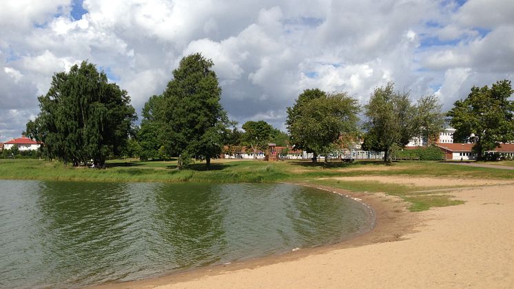 Kommunen avråder från bad i Sundstatjärn på grund av algblomning