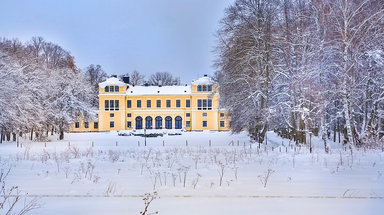 Slottet vintertid