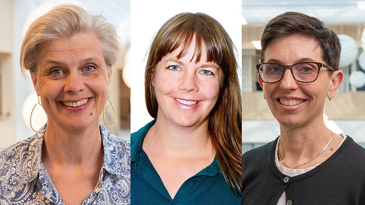 Fr. v. Ulrica Johansson, Kraftringen, Sabine Täuber, Energikontor Syd och Annika Widmark-Sjöstedt, Kraftringen