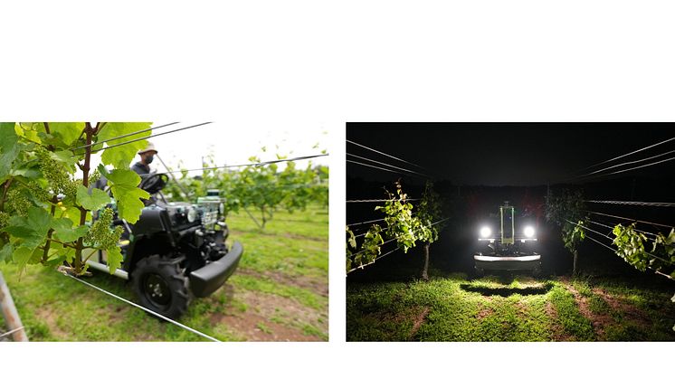 ブドウ果樹園でUGV走行試験(左) と　夜間でもデータ収集が可能なUGV (右)
