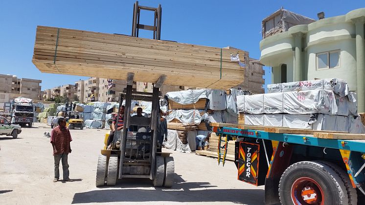 Stor marknad för trävaror i Egypten. Bild: Kenneth Wallin, Martinsons