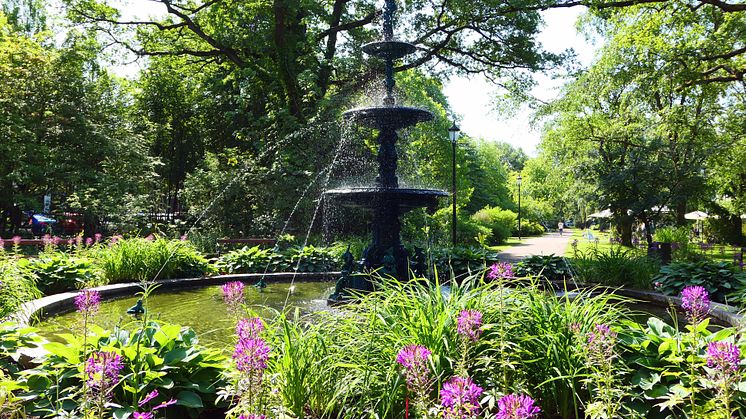 Fontänen i Stadsträdgården i sommarskrud.