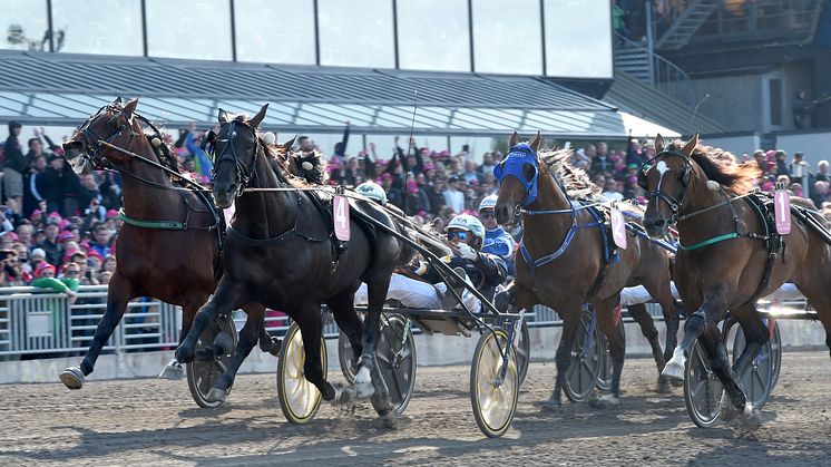 Nuncio passerar mållinjen som vinnare av Elitloppet Benders 2016. 