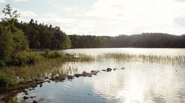 Kom och maja i Äskhult på första maj! Foto: Göran Assner