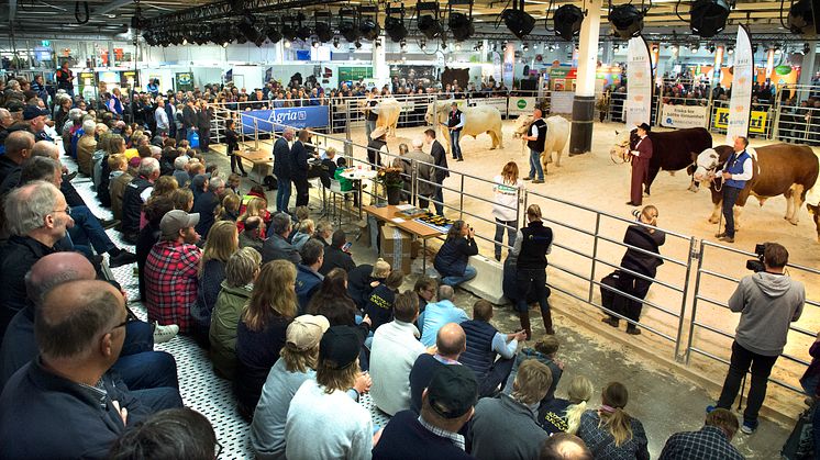 A well-received new concept plus satisfied exhibitors at Elmia Agriculture 2016