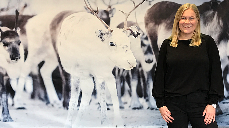 Sandra Stenberg, centrumledare på Huge, hoppas på 100 000 besökare under Jokkmokksdagarna.