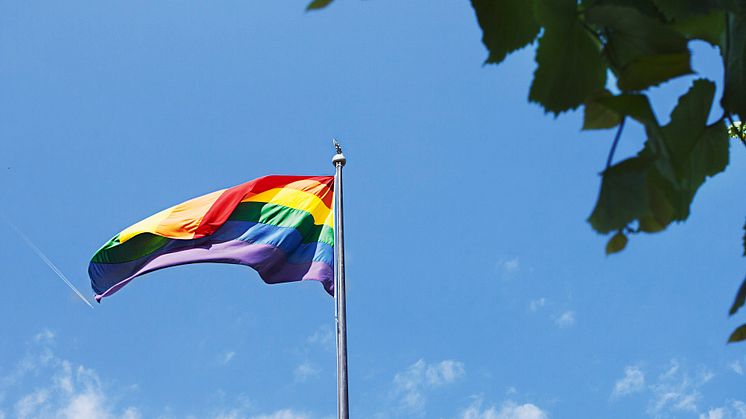 Göteborgs Stad arbetar aktivt för mänskliga rättigheter och medverkar i West Pride 2023 som pågår mellan 5 och 11 juni. Foto: Lo Birgersson.