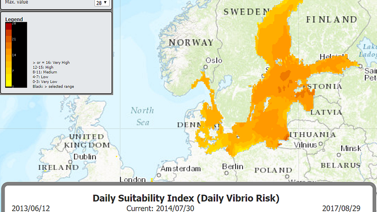 Graderad riskbedömning utifrån geografisk spridning under perioden 2013-2017. Gult = låg risk, brunt = hög risk. Bild: ECDC Vibrio Map Viewer.