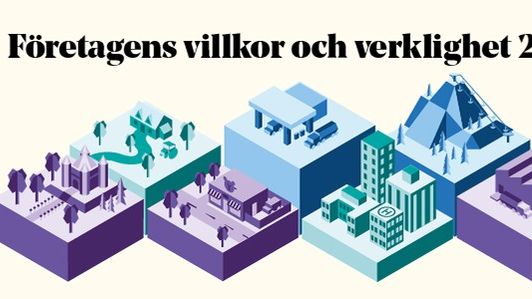 Företagens villkor och verklighet 2017 - Kompetensbrist drabbar även medelstora företag