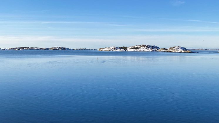 Som helhet visar HaV:s bedömning att tillståndet för havens arter och livsmiljöer är fortsatt kritiskt. Foto: Karin Pettersson/HaV