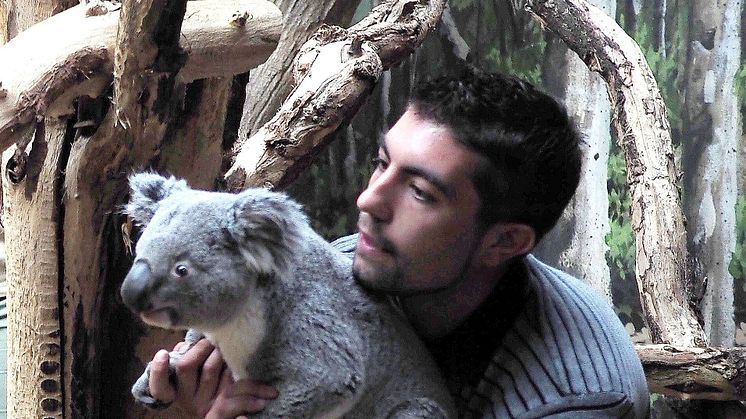 Tinaroo und sein Pfleger Tom Collins beim Einzug ins Koala-Haus