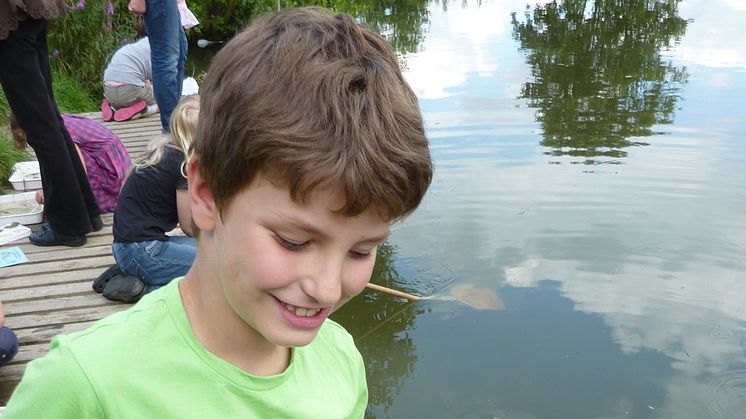 Summer play at Chesham Local Nature Reserve