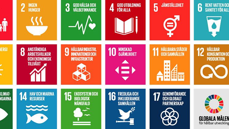 Barn och unga lär sig om FN:s globala mål och Agenda 2030 genom InnoCarnival. De globala målen är universella, integrerade och odelbara, vilket är av stor betydelse för att säkerställa att syftet med Agenda 2030 för hållbar utveckling förverkligas.