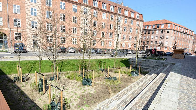 Rapportframsida: Skyfallsåtgärd på Skt Kjelds Plads i Köpenhamn. Foto: Mattias Salomonsson, Sweco.