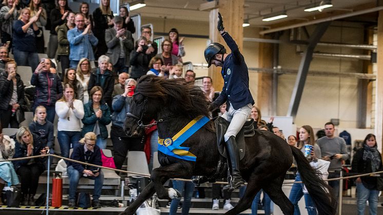 Vinnare i finalen i F1 femgång  Caspar Hegardt på Oddi från Skeppargården. Foto: Elmia AB/Sofie Lahtinen-Carlsson
