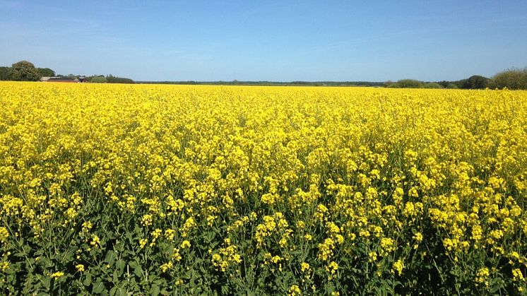 Gör Skåne till ett försöksområde för gårdsförsäljning av vin och öl