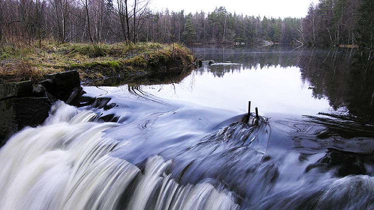 Rapportframsidesbild: Kvarndammarna i Lövsjöbäcken, en del av Lärjeåsystemet som ingår i Göteborgs nödvattensystem. Foto: Per Sander.