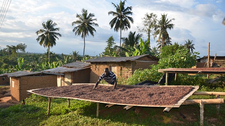 Mondelēz International to Invest $400 Million to Help One Million People in Cocoa Farming Communities