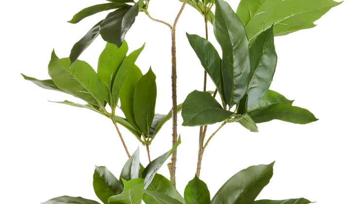 Plante artificielle TRISTAN H90cm.png