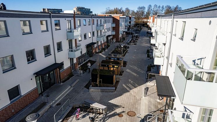 Renoverade hus på Grönkullagatan, Drottninghög. Foto: Jonas Linné, Helsingborgshem