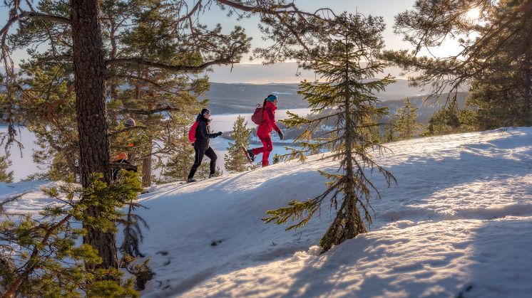 Höga Kusten upplevs som Sveriges tryggaste och säkraste resmål