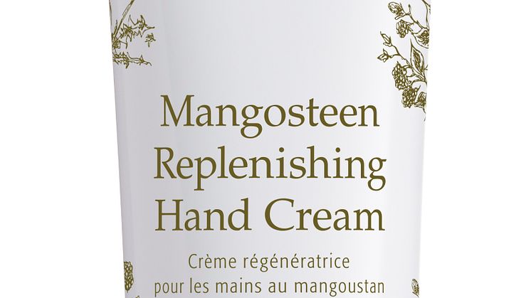 Éminence Mangosteen Replenishing hand cream