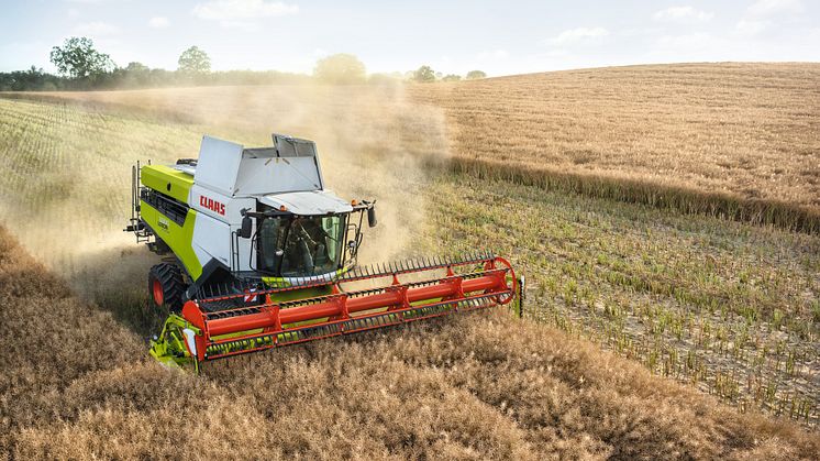 CLAAS LEXION 5500 TERRA TRAC med CONVIO FLEX 770