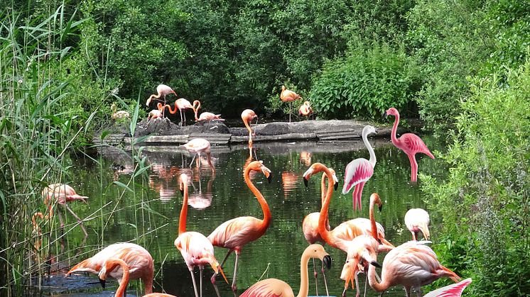 Tierischer Spaß im Zoo Schwerin