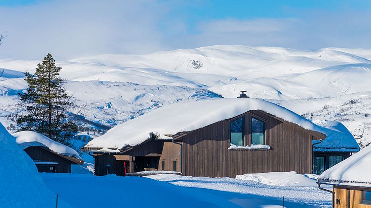 Høyt og herlig i Brokke fjellpark