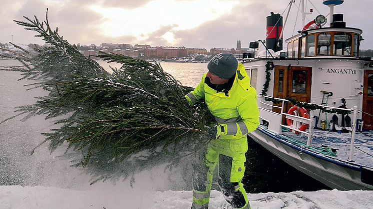 Släng inte granen i sjön