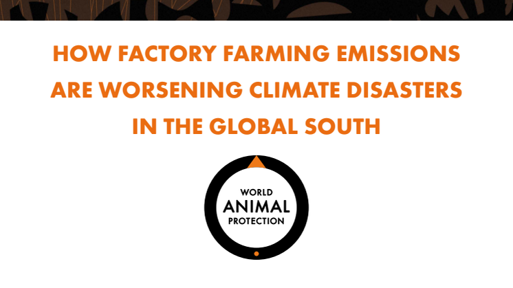 Report Factory Farming and Climate Induced Weather Disasters.pdf