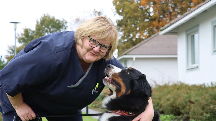 Ingela Svensson, matte och hundförare, har utbildad Winnie - Sjöbo kommuns nya besökshund.