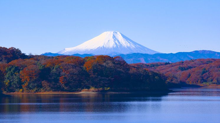 Fred. Olsen Cruise Lines launches inaugural ‘Authentic Japan’ cruise in early 2021