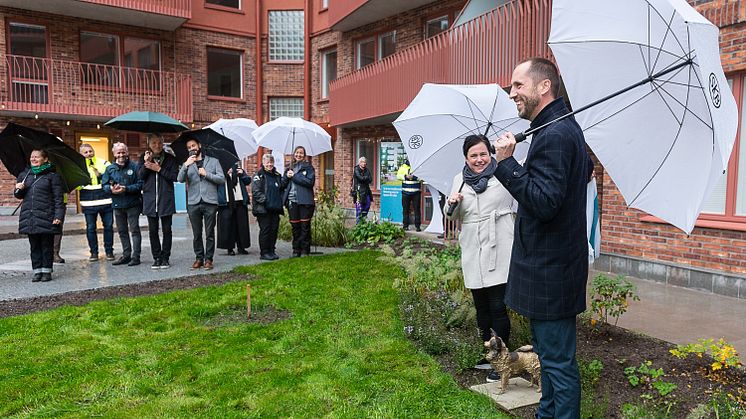 Uppsalas första kooperativa hyresrätter invigdes av SKB och Uppsala kommun när konstverket I tid och rum blev avtäckt av Eva Nordström, vd SKB och Erik Pelling, kommunalråd Uppsala kommun. Foto: DP-bild