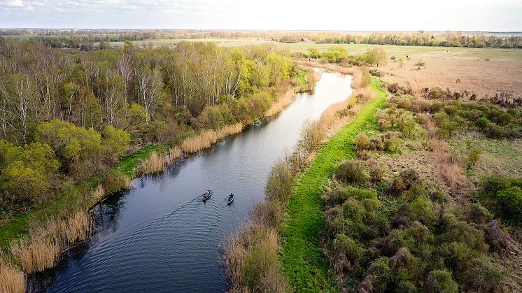 Auf der Rhinluch-Runde warten auf 35 Kilometern Uferlinien, mit Schilf gerahmte Kanäle und der flache Bützsee darauf, entdeckt zu werden. Foto: Heiko Rosteius. 