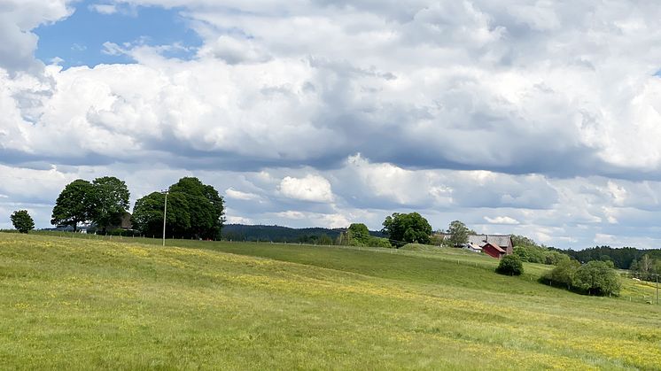 Ny metod för analys av jordbruksmark – Radars modell är ett genombrott