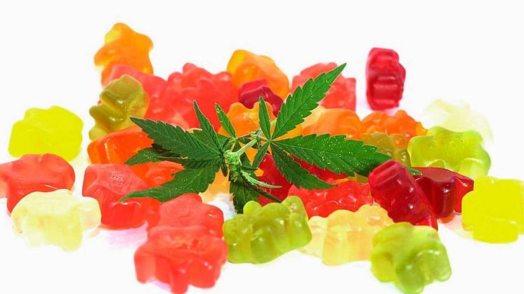 Cannagreenz CBD Gummies Reviews Canada & USA: Does It Really Work in Anxiety and Stress?