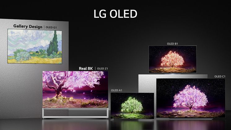 LG OLED Lineup (1).jpg