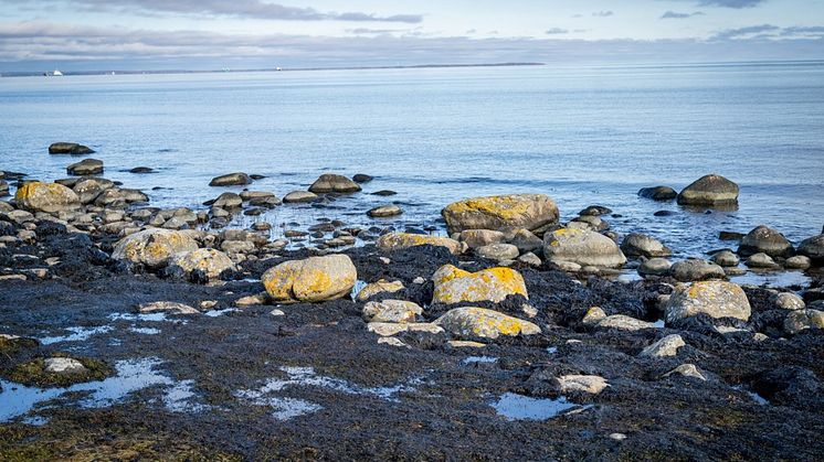 En hållbar organisation och faser för saneringsarbetet är beslutat. Foto: Sölvesborgs kommun