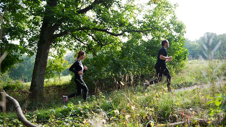 90-åringen ordnar elförsörjningen åt Lidingöloppet