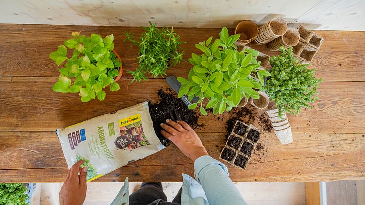 Die Bio-Erde AROMATISCH! von Floragard eignet sich hervorragend, um eigene Kräuter zu ziehen.