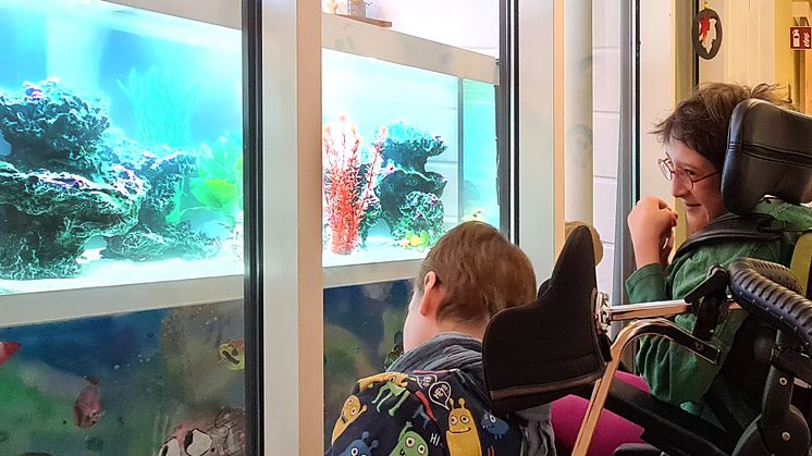 Beliebter Ort im Kinderhospiz Bärenherz - der Platz vor dem Aquarium