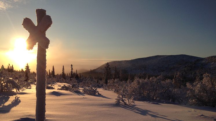 Ledkors i Vemdalen med utsikt över Högfjället. 