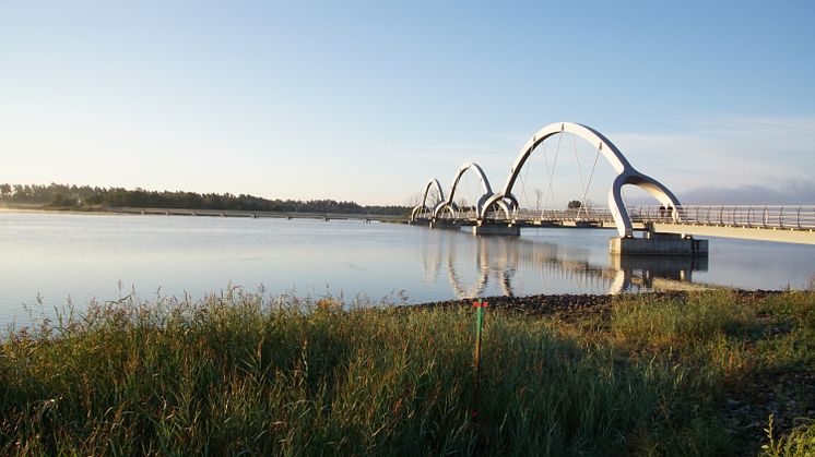 Sölvesborgsbron