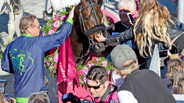 Ringostarr Treb efter segern i Elitloppet 2018. Foto: Malin Albinsson/TR Bild