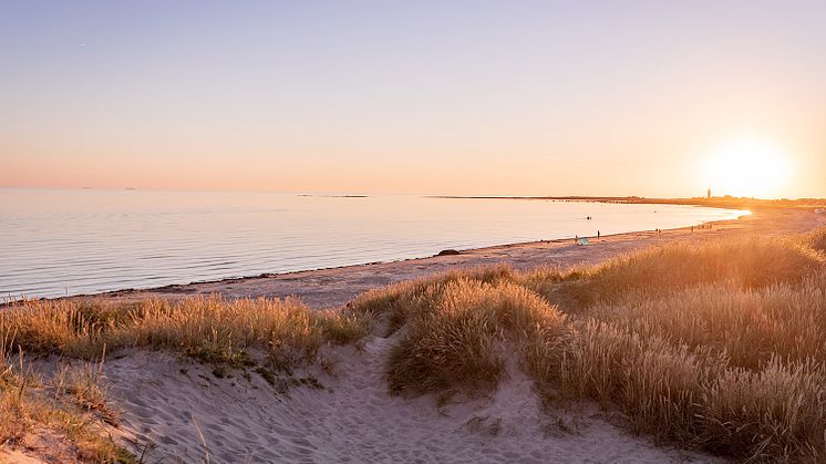 Ljudet av Falkenberg