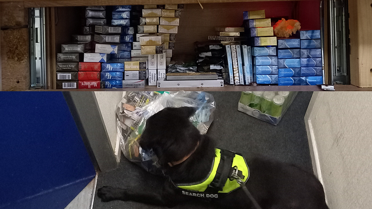 Dixie the sniffer dog, and a concealed compartment with illegal tobacco