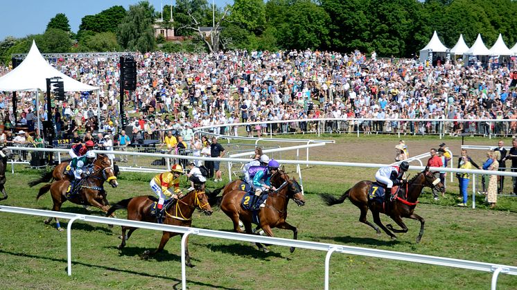 Nationaldagsgaloppen lockade storpublik till Gärdet redan premiäråret 2013. Foto: Stefan Olsson/Svensk Galopp