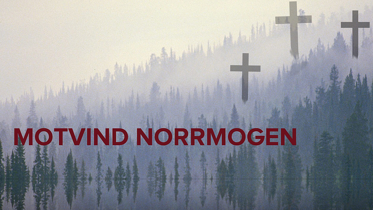 ​"Motvind Norrmogen" vill stoppa vindkraftpark i Ramsberg